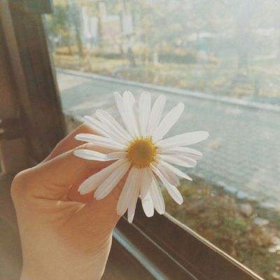 尊龙ag旗舰厅登录截图