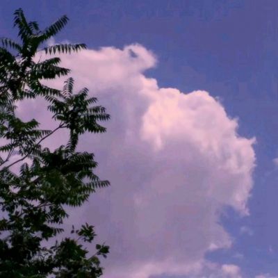 尊龙ag旗舰厅登录